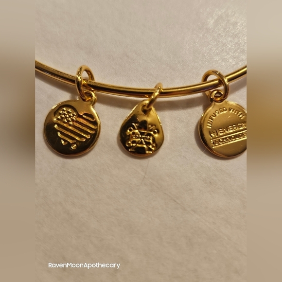 Alex and Ani U.S. Army Bracelet - Picture 3 of 8